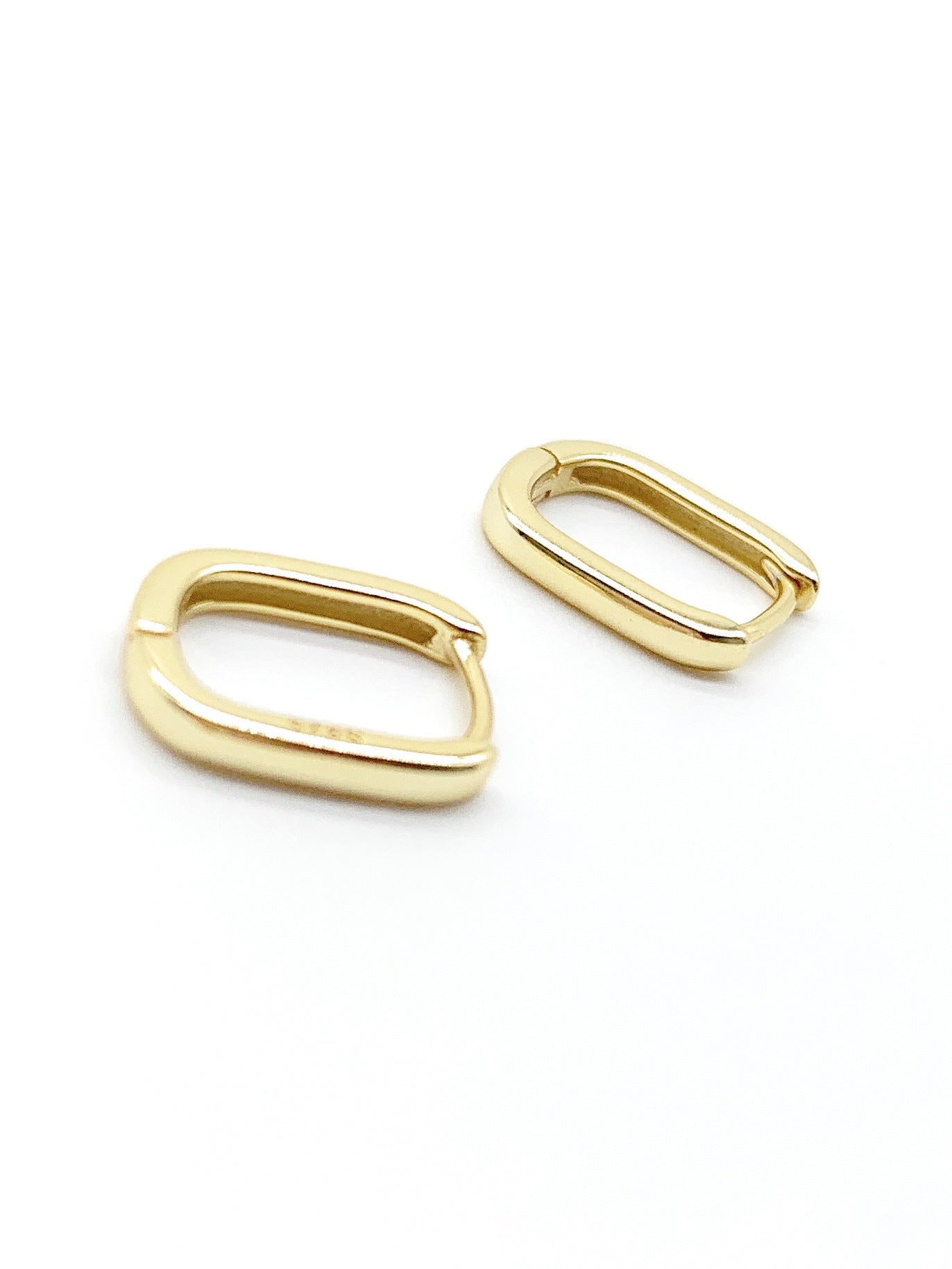 Oval hoop Earrings